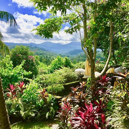 Gunung Paradis Retreat Munduk  Luaran gambar