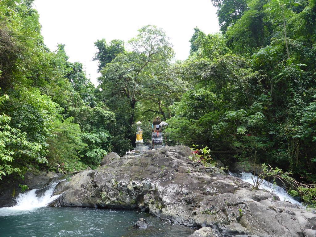 Gunung Paradis Retreat Munduk  Luaran gambar