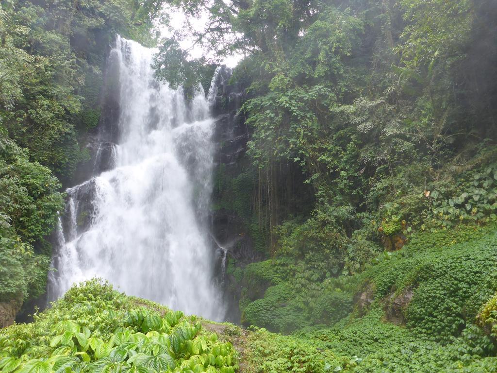 Gunung Paradis Retreat Munduk  Luaran gambar