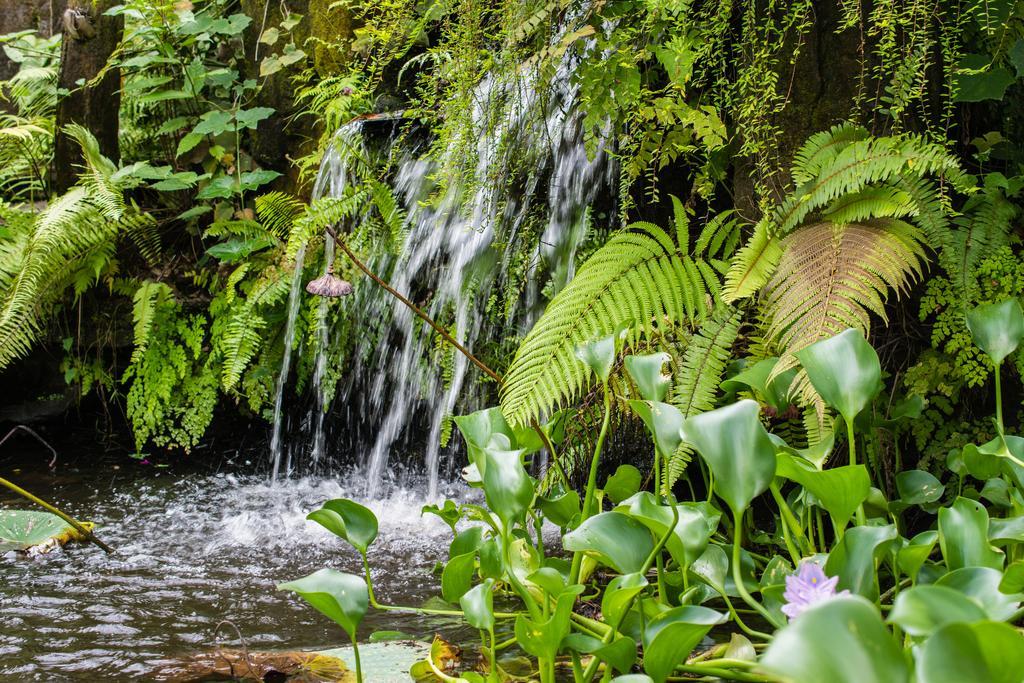 Gunung Paradis Retreat Munduk  Luaran gambar